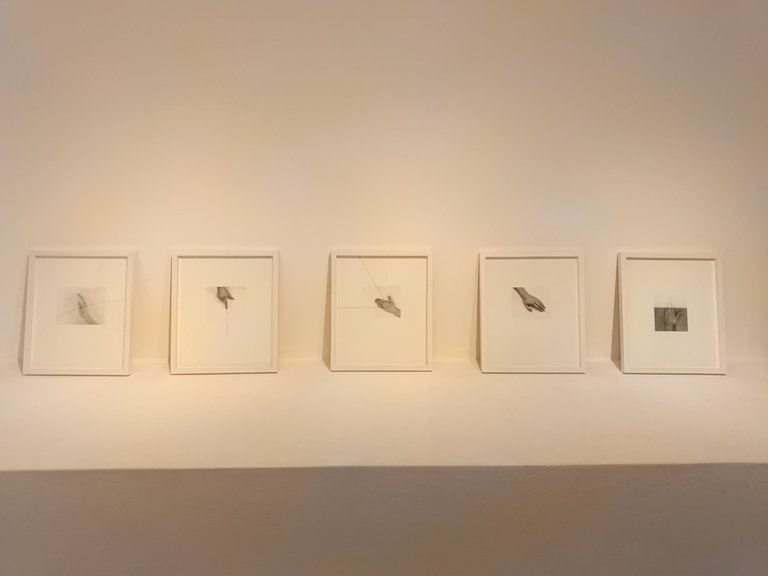 1000150901.jpg