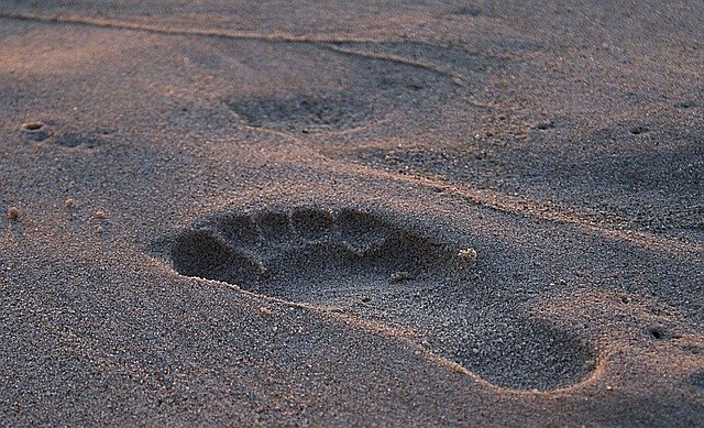 footprint-908273_640.jpg