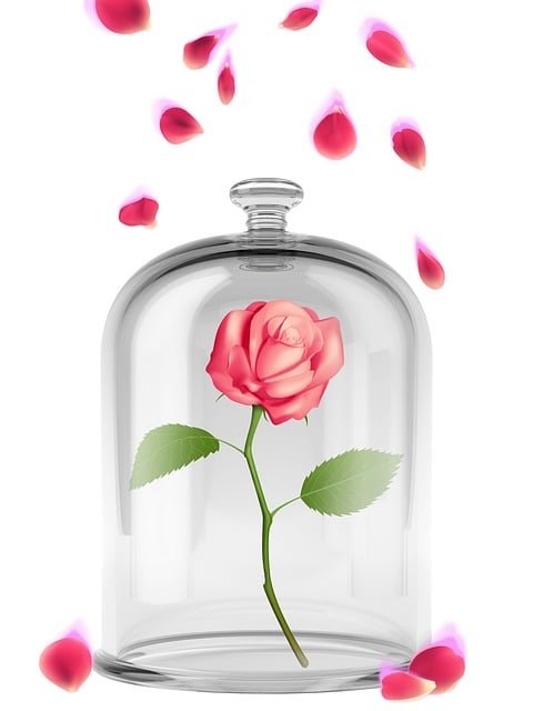 rose-1228021_640.jpg