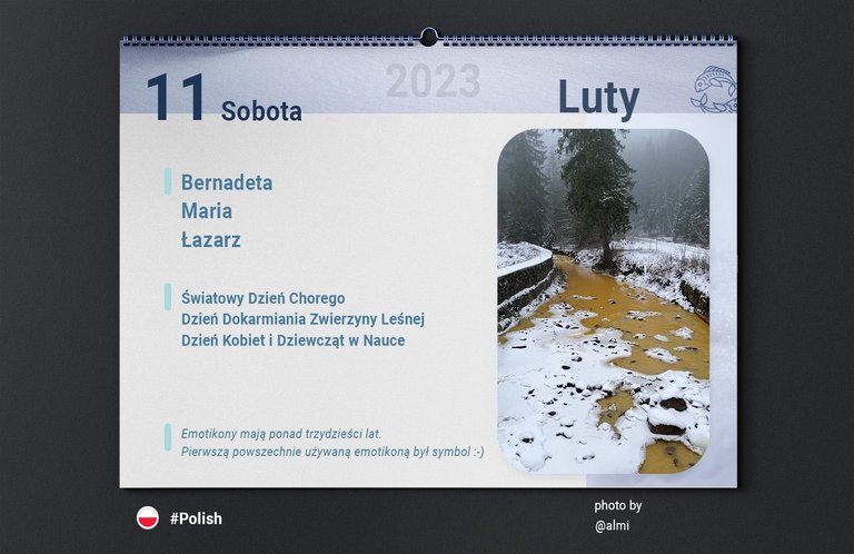 Calendars_szeroki2.jpg