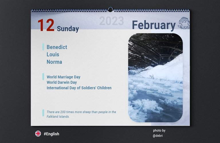 Calendars_szeroki1.jpg
