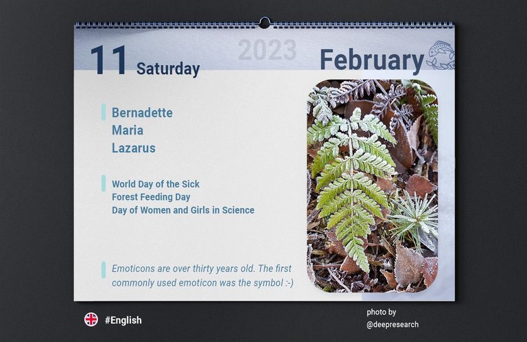 Calendars_szeroki1.jpg