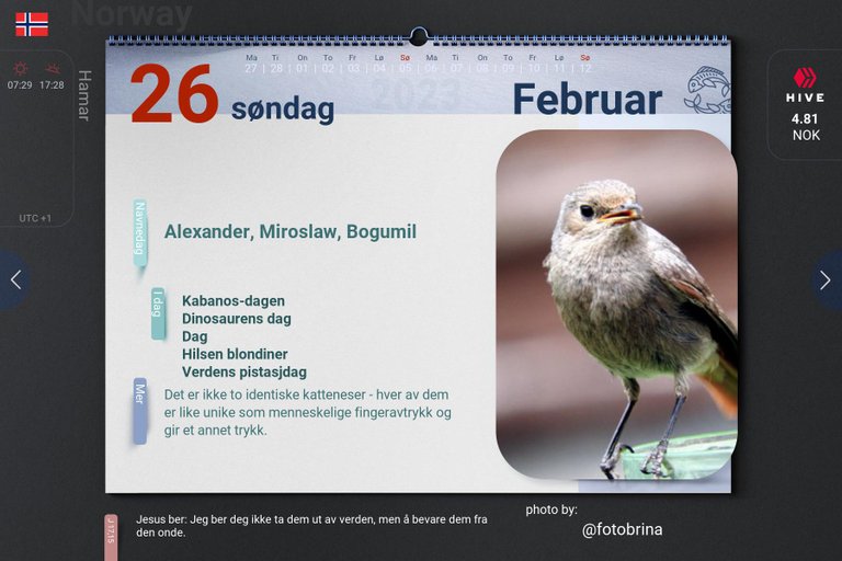 11_2023-02-26_no.jpg