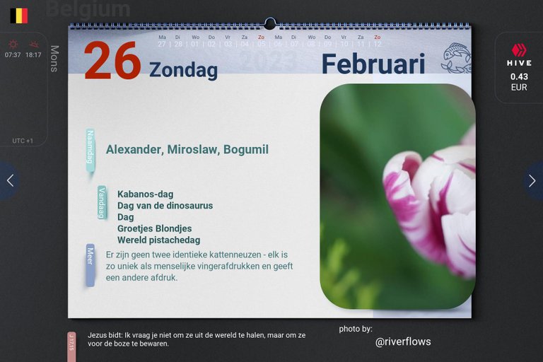 10_2023-02-26_be.jpg