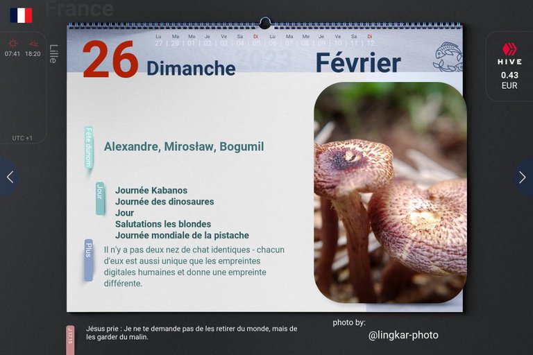 6_2023-02-26_fr.jpg