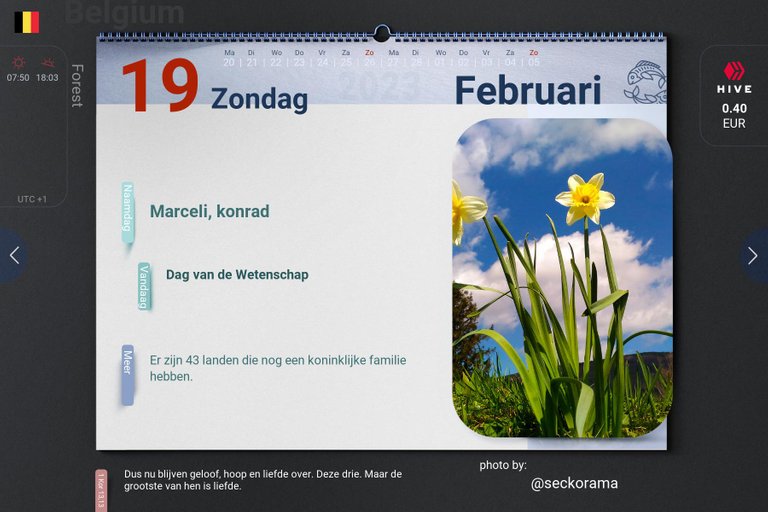 10_2023-02-19_be.jpg