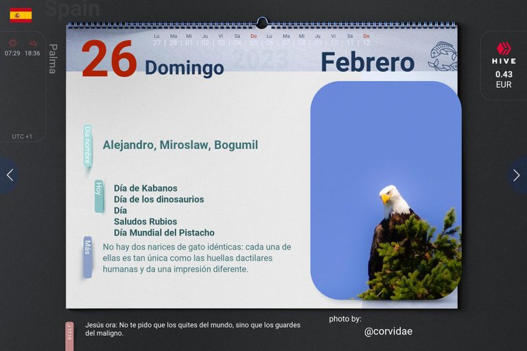 7_2023-02-26_es.jpg