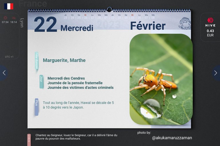 6_2023-02-22_fr 22.29.39.jpg