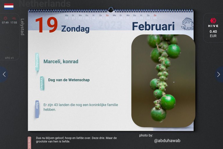 9_2023-02-19_nl.jpg