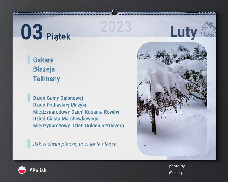03_02_2023_Calendars2.jpg