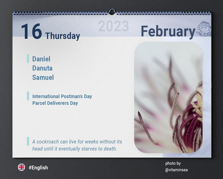 Calendars_v2_1.jpg