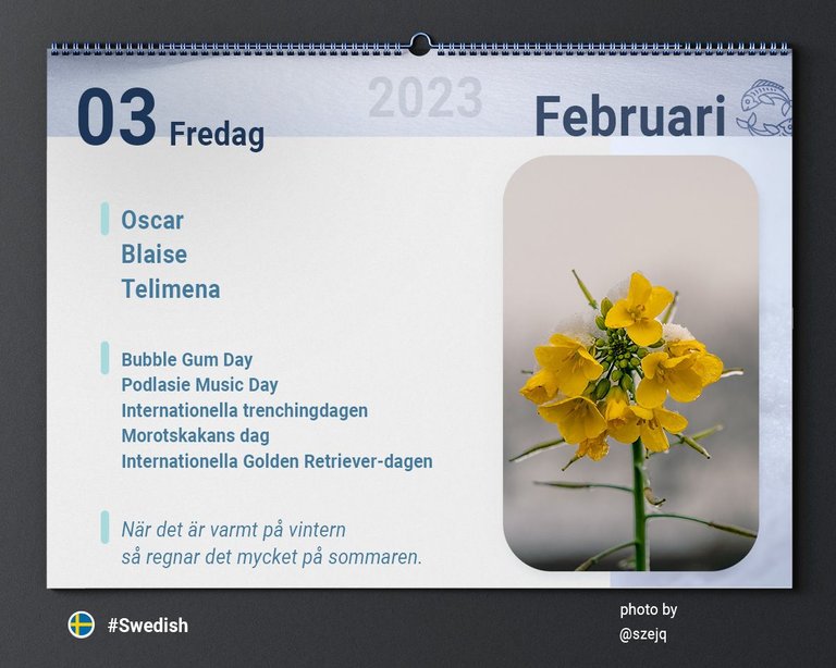 03_02_2023_Calendars7.jpg