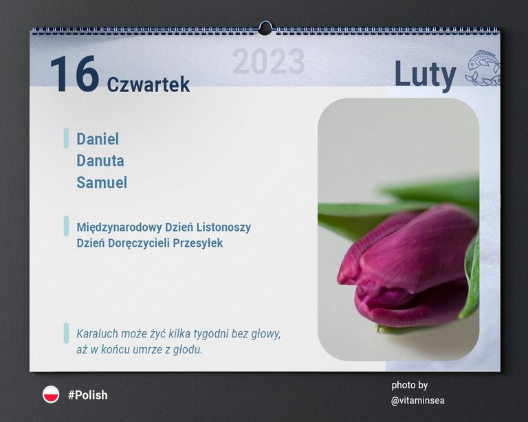 Calendars_v2_2.jpg