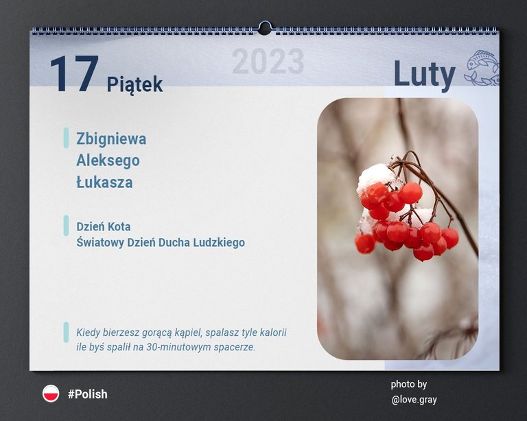 Calendars_v2_2.jpg