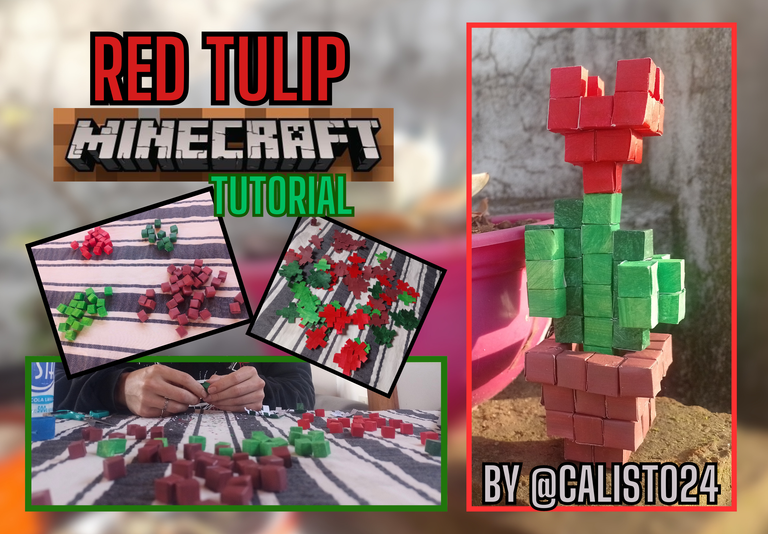 Red tulip_20240606_190426_0000.png