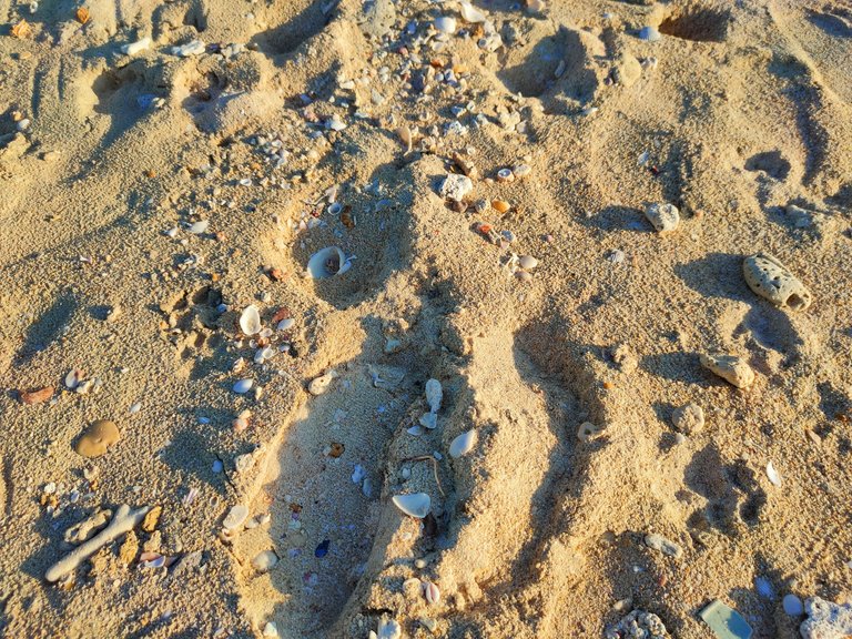 IMG_20230126_100731.jpg