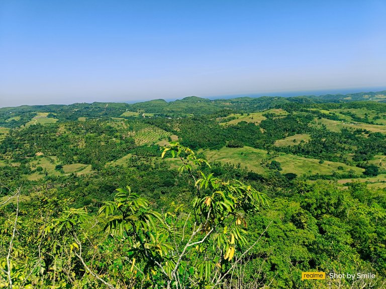 IMG20230805092215.jpg