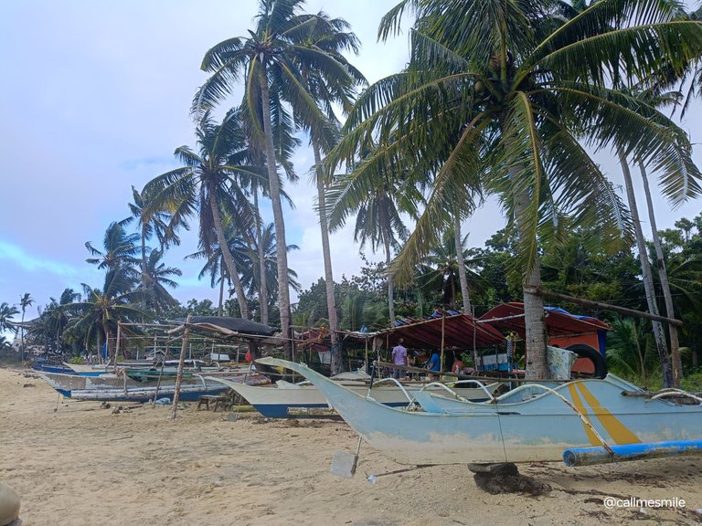 IMG20250111152304.jpg