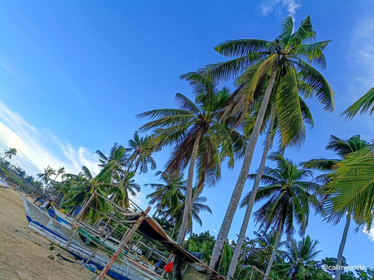 IMG20250111163631.jpg