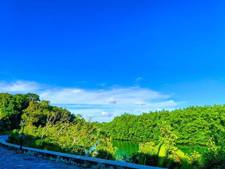 IMG20240102155038.jpg