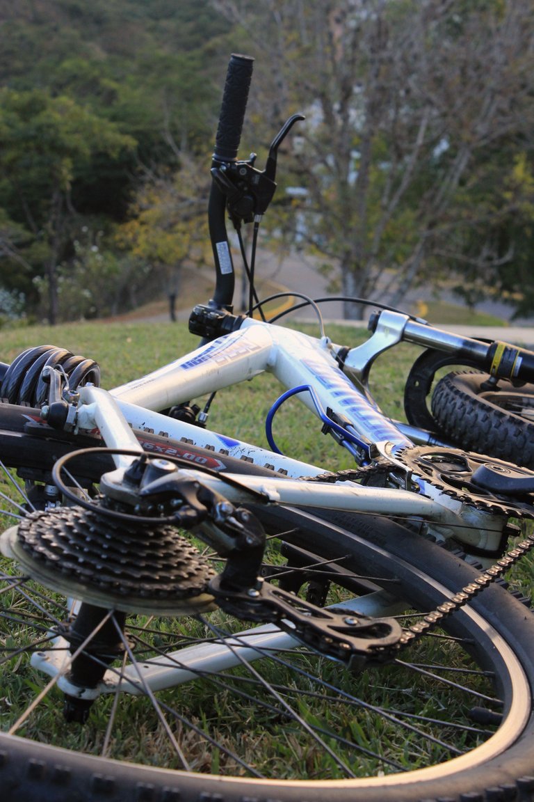 bici en la alameda.jpg