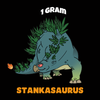 Steg 1 gram colored Stankasaurus fin 350 by 350.png