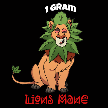 Lion 1 gram 350 by 350.png