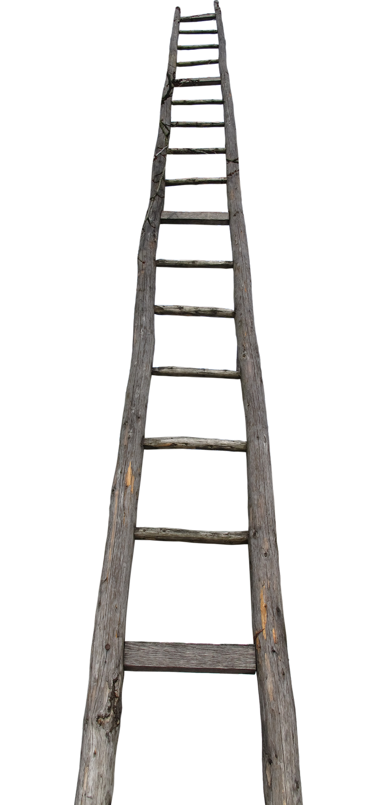 ladder-2777376_1920.png