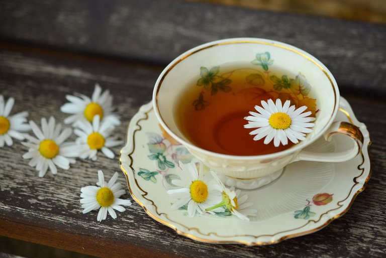 cup-829527.jpg