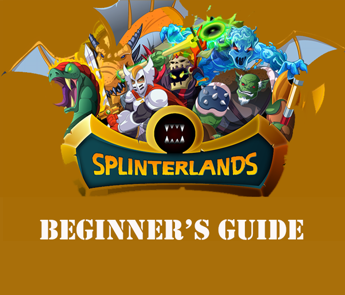 beginners guide.png