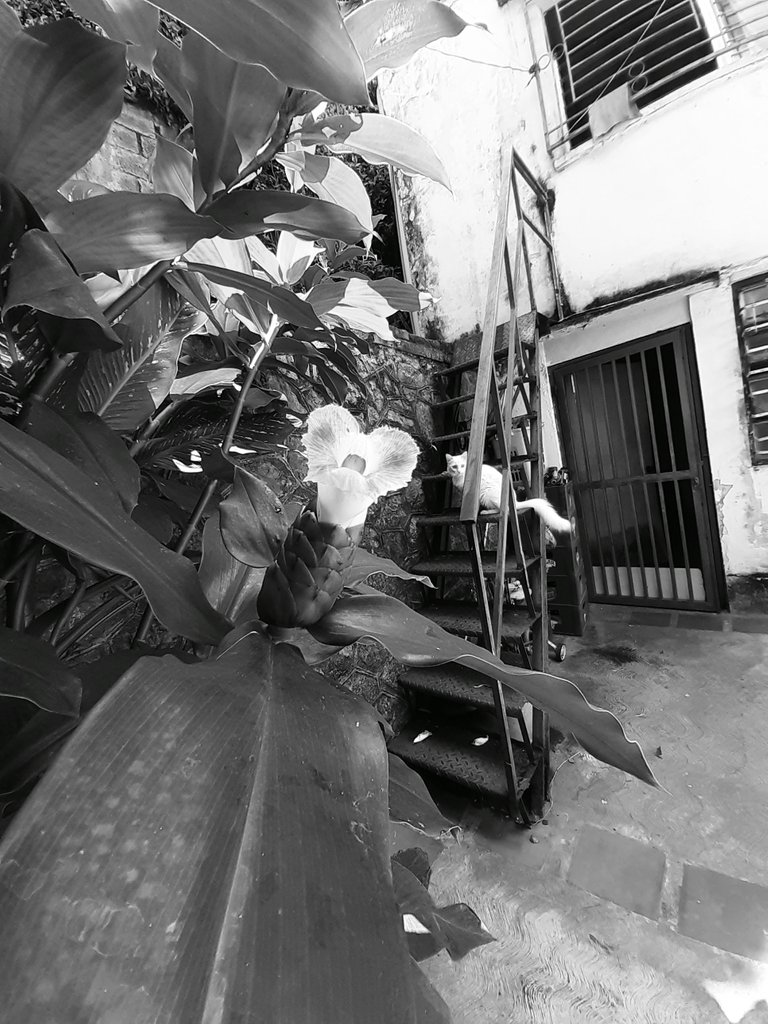 20200909_105514.jpg