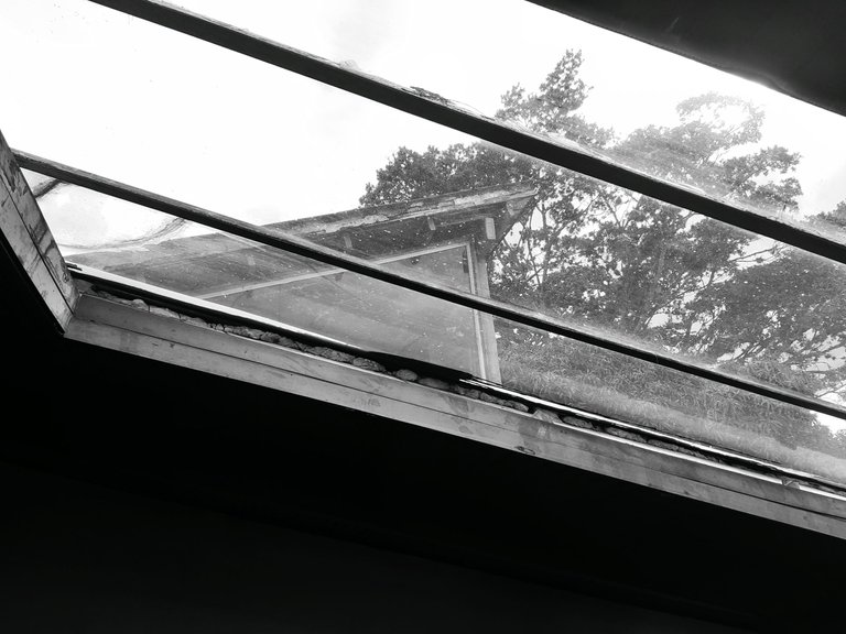 20220829_162638.jpg