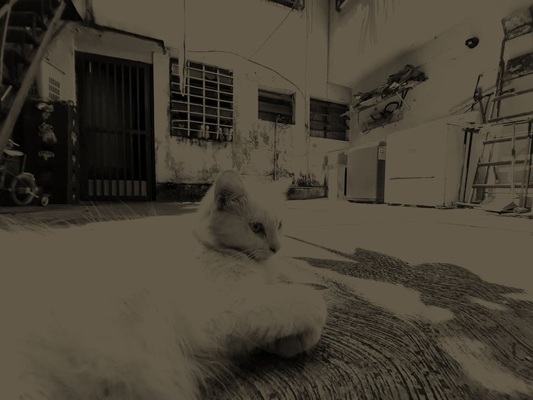 20200909_105656.jpg