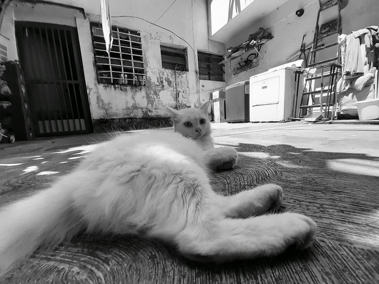20200909_105649.jpg