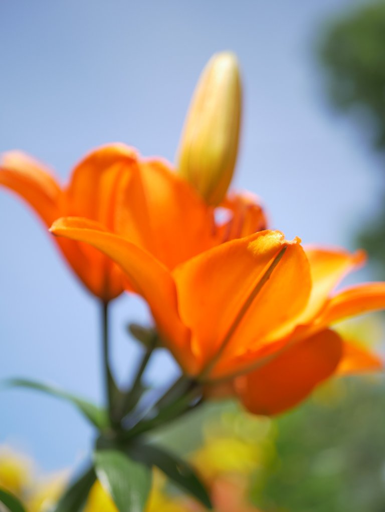 P1080055.JPG