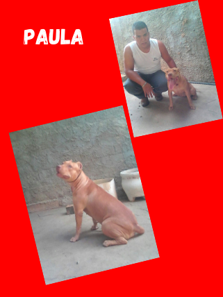 Paula (3).png