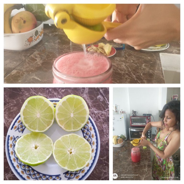 Collage Limón.jpg
