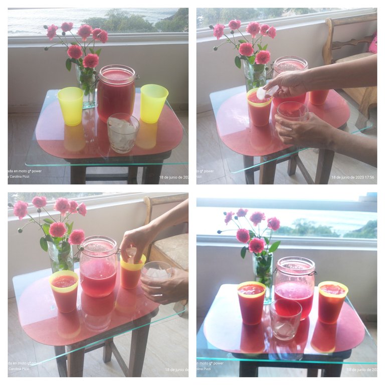 Collage Hielo.jpg