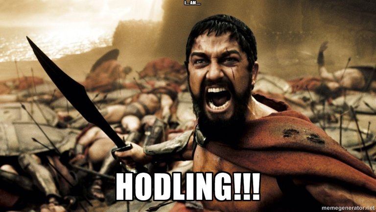 Hodling.jpg