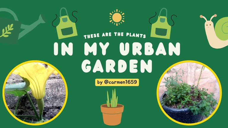Green Illustration Introduction to Gardening Presentation.jpg
