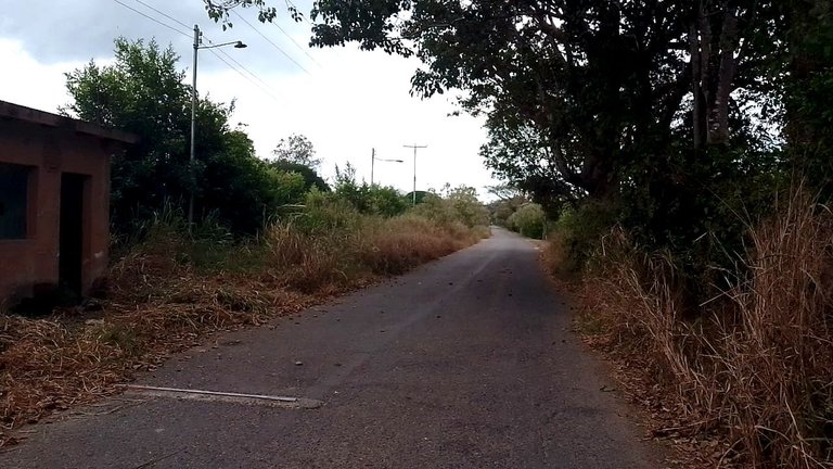 campo.jpg