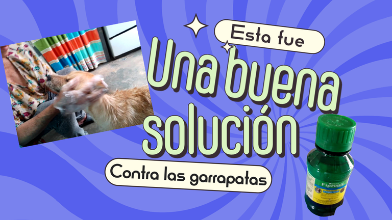 Sin título-5.png
