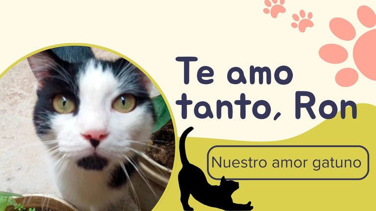 Pink and Yellow Playful Pet Care Presentation.jpg