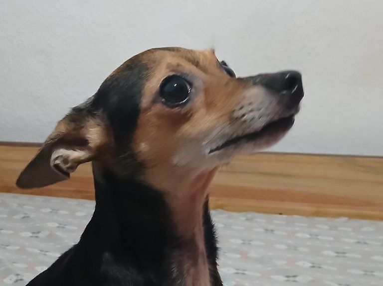 1000180537.jpg