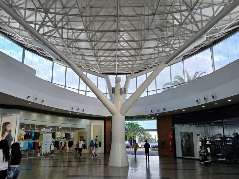 20250524_174550.jpg