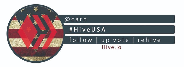 Hive_team_usa_Carn.jpg