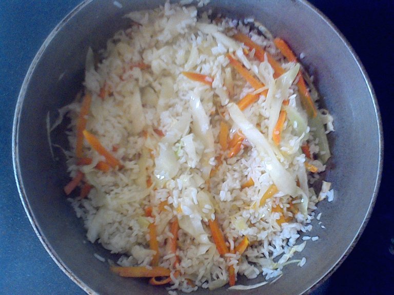 mezcla arroz vegetales.jpg