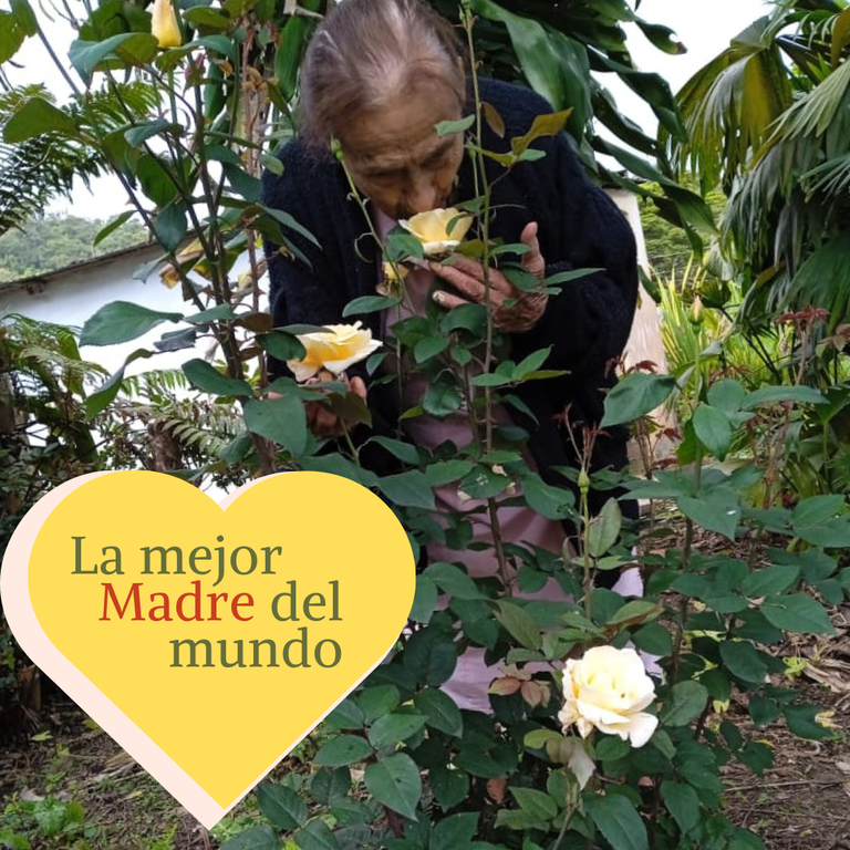 Post de instagram feliz día de la madre collage de fotos floral rosa (1).png