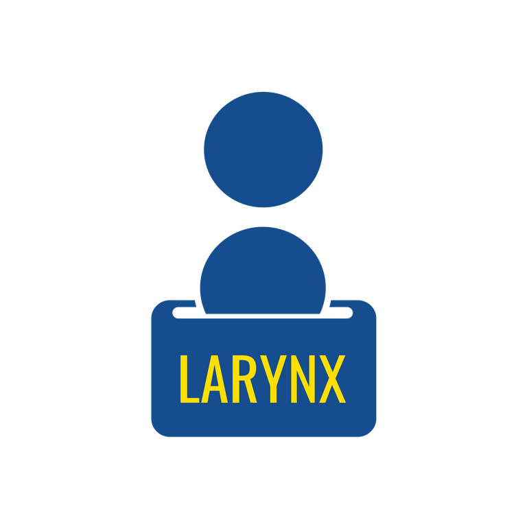 larynx.png