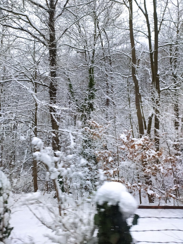 IMG_20230122_135309.jpg